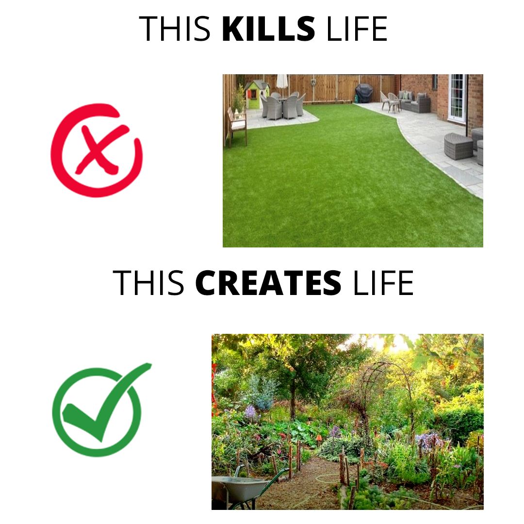 The meme is a humorous comparison between two types of lawns: one made of artificial turf and one made of living plants. The text "THIS KILLS LIFE" appears above a photo of a lawn made of artificial turf, while "THIS CREATES LIFE" appears above a photo of a garden or garden-like setting. The meme is saying that while a lawn made of artificial turf is lifeless and life-destroying, a garden or garden-like setting is full of life and life-creating.